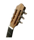 Viola de Fado Artimúsica VF50S Simples Tampo em Spruce