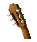 Viola de Fado Artimúsica VF50S Simples Tampo em Spruce