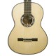 Photo of the Artimúsica Viola de Fado VF51S Half Deluxe top