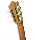 Foto dos carrilhões da Viola de Fado Artimúsica VF51S Meio Luxo