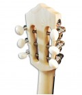 Foto del clavijero del Cavaquinho Artimúsica CV20C