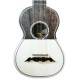 Photo of the Artimúsica Cavaquinho CV20C half tops