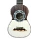 Photo of the Artimúsica Cavaquinho CV14C half tops