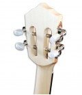 Foto del clavijero del cavaquinho Artimúsica CV11C 