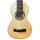 Photo of the cavaquinho rajão Artimúsica RJ80S top