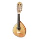 Photo of the Artimúsica mandolin BD40TC