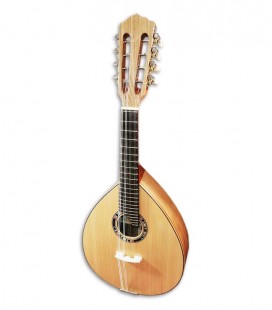 Photo of the Artimúsica mandolin BD40TC