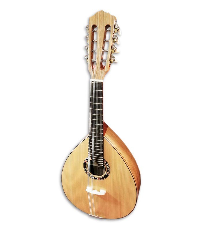 Photo of the Artimúsica mandolin BD40TC