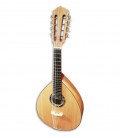 Photo of the Artimúsica mandolin BD40TC