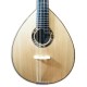 Photo of the Artimúsica mandolin BD40TC top