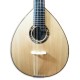 Foto de la tapa de la mandolina Artimúsica BD40TC
