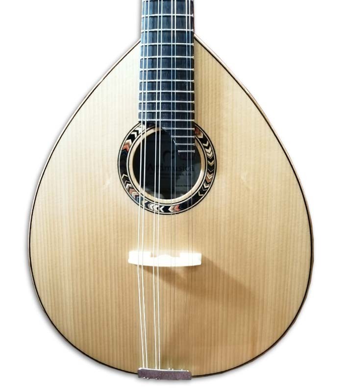 Photo of the Artimúsica mandolin BD40TC top