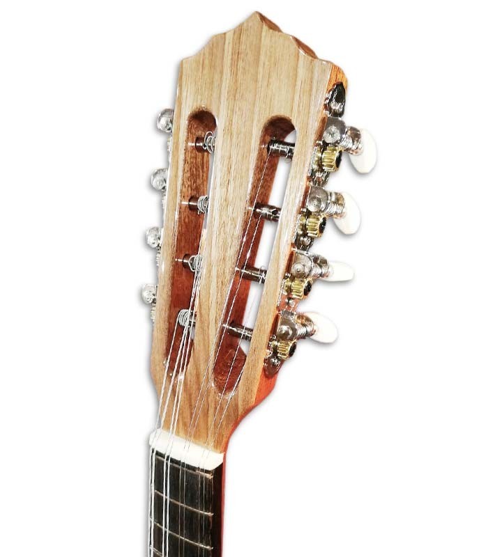 Photo of the Artimúsica mandolin BD40TC head