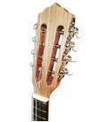 Photo of the Artimúsica mandolin BD40TC head