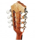 Foto del clavijero de la mandolina Artimúsica BD40TC