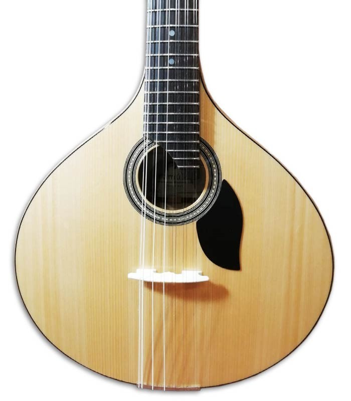 Foto de la tapa de la Guitarra Portuguesa Artimúsica GP70LCAD