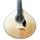 Foto de la tapa de la Guitarra Portuguesa Artimúsica GP70L