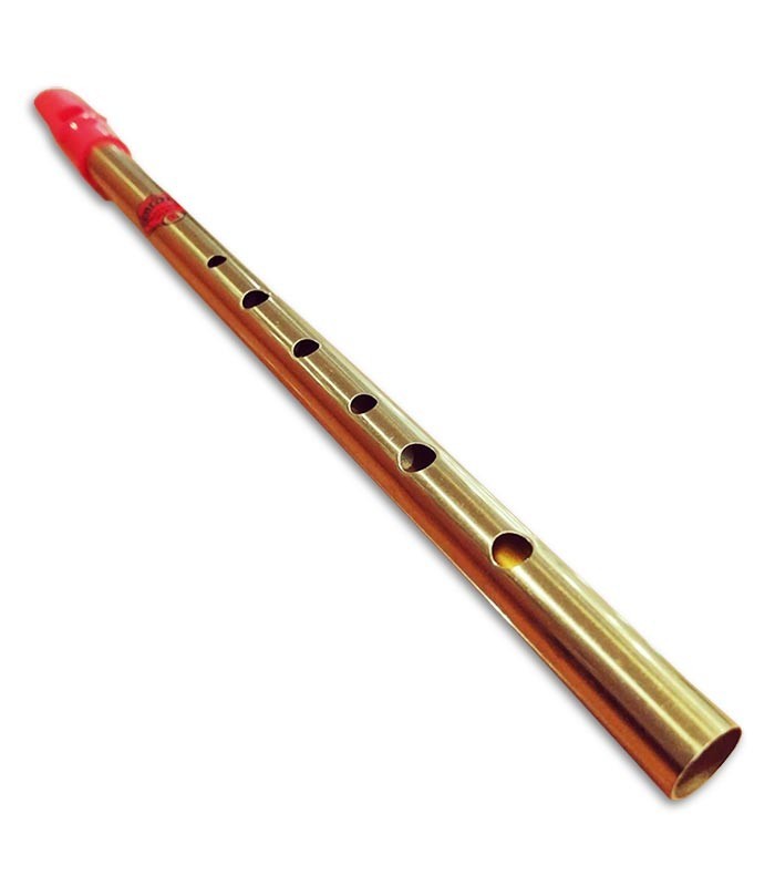 Photo detail of the Tin Whistle Feadóg Flageolet body