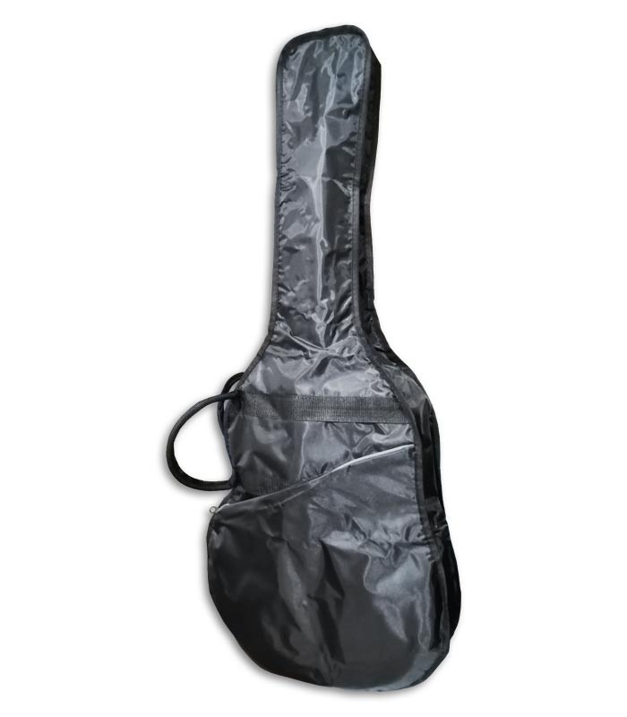 Ashton guitar deals bag