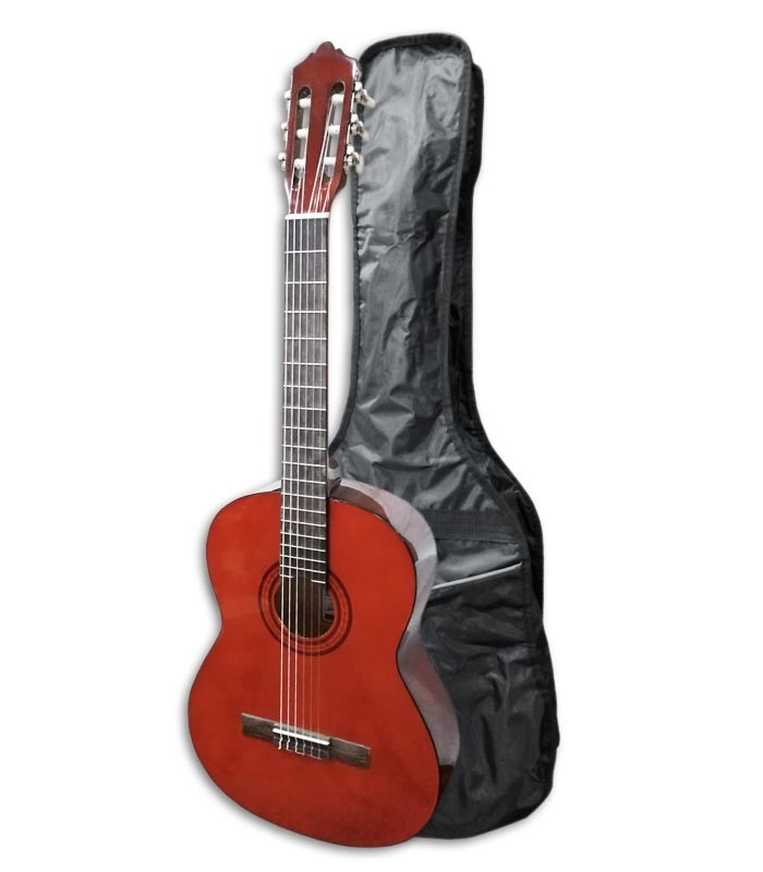 Photo of the Classical Guitar Ashton SPCG-44AM with bag