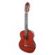 Photo of the Classical Guitar Ashton SPCG-44AM