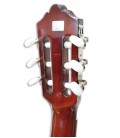 Foto del clavijero de la Guitarra Clásica Ashton SPCG-44AM