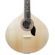 Foto de la tapa de la Guitarra Portuguesa Artimúsica GPBASEL Modelo Lisboa