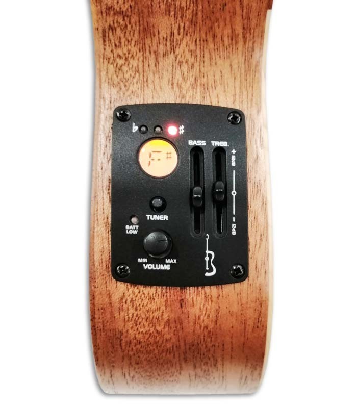 Foto del preamplificador del Cavaquinho APC 103 Boca Raya