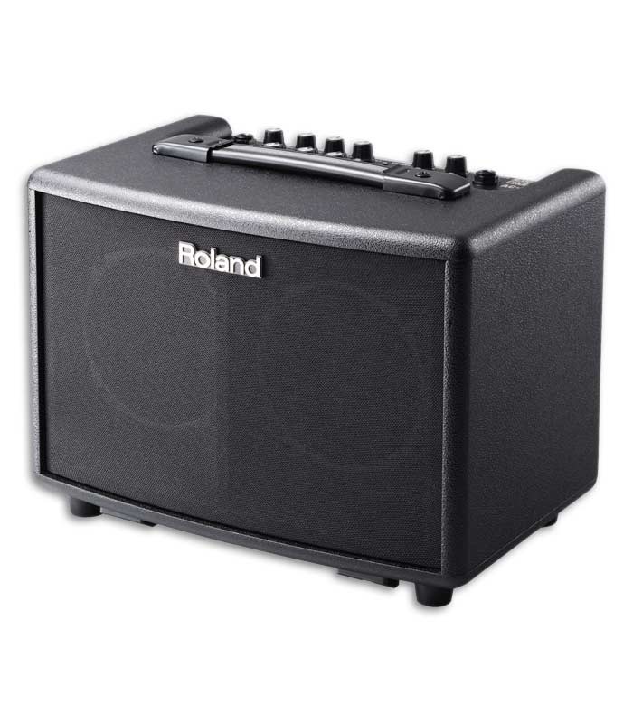 Foto del Amplificador Roland AC-33