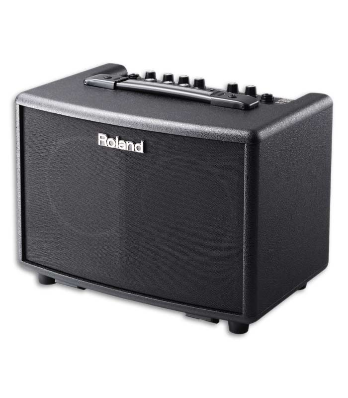 Photo of the Amplifier Roland AC-33