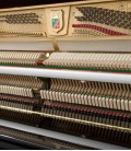 Foto da mecânica do Piano Vertical Petrof P122 N2