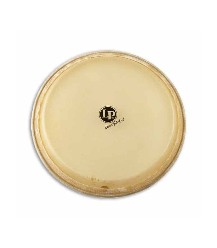 Photo of head LPA265A for 11"  quinto