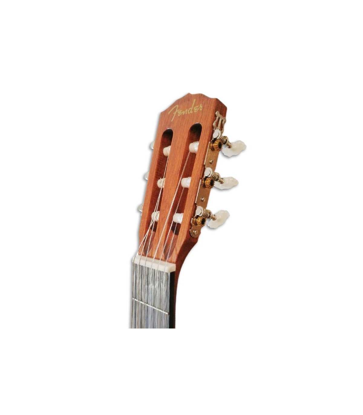 Posicionamiento en buscadores Prevención Acusación Fender ESC110 Educacional 4/4 | Guitarra clásica | Salão Musical de Lisboa
