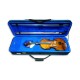 Open case with viola