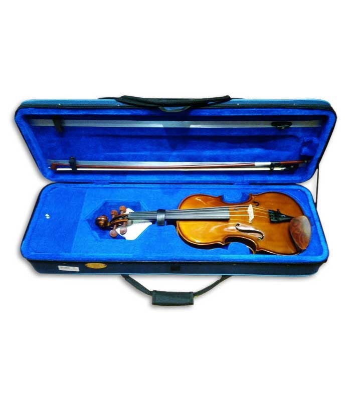 Open case with viola