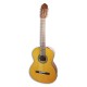 Photo of the Classical Guitar VGS Student Natural with Pickup