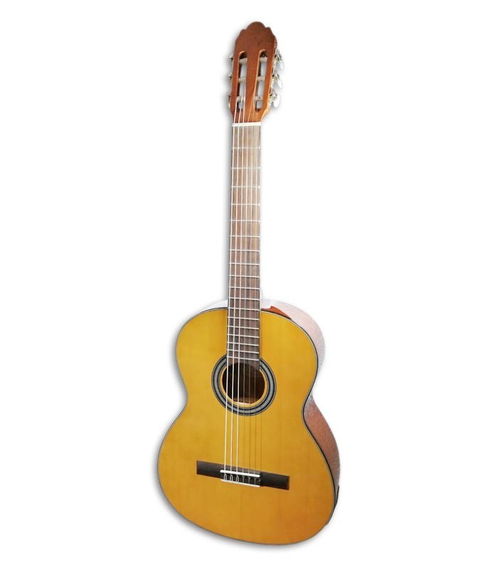 Photo of the Classical Guitar VGS Student Natural with Pickup