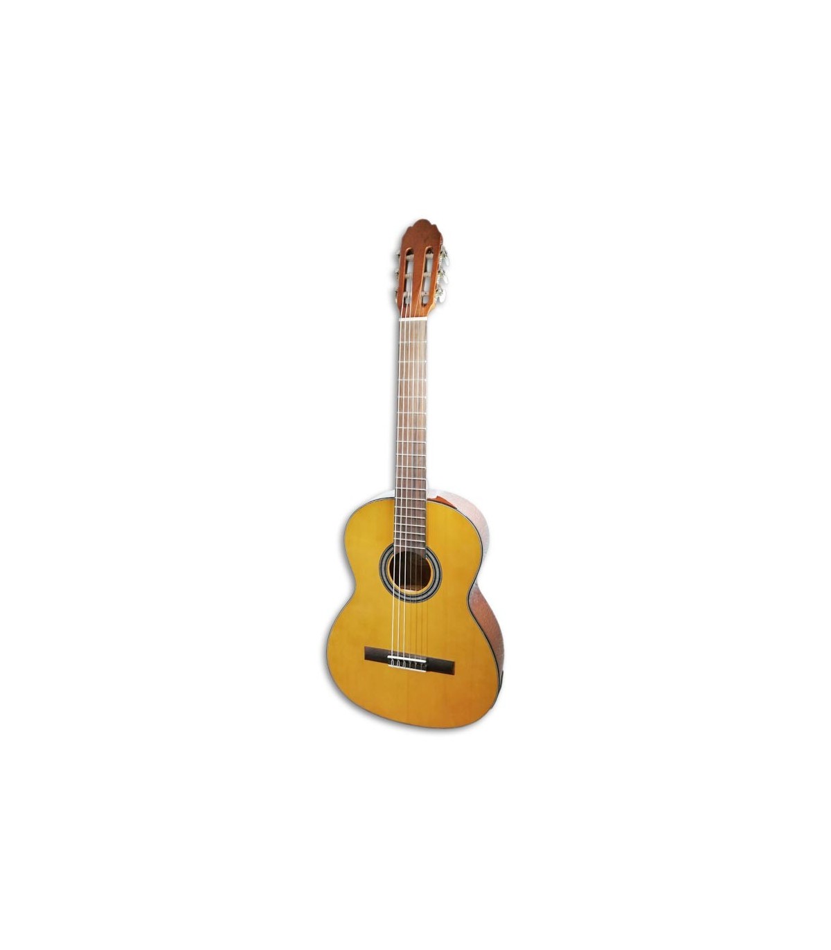 Vgs guitars on sale