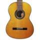 Photo of the Classical Guitar VGS Student Natural with Pickup top