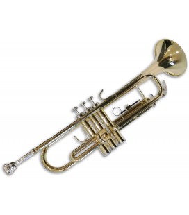Photo of trumpet Sullivan TT100