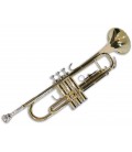 Foto do trompete Sullivan TT100