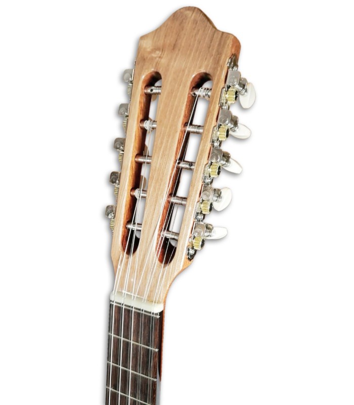 Photo of the Viola Amarantina Artimúsica 2 Hearts head