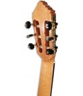 Photo of the Guitarra Flamenca Alhambra 10 FC machine heads