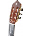 Photo of the Guitarra Flamenca Alhambra 10 FC head