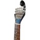 Foto dos carrilhões da Guitarra Portuguesa Artimúsica GPBBL Modelo Lisboa Blueburst Base Tampo Tília Fundo Acácia