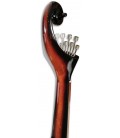 Fan and volute of Portuguese guitar Artimúsica GPSBL Sunburst