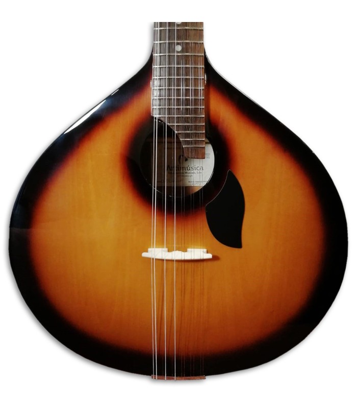 Abanico y voluta de la Guitarra Portuguesa Artimúsica GPSBL Sunburst