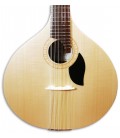 Photo of the Portuguese Guitar Artimúsica GPBASELCAD Lisbon Model top