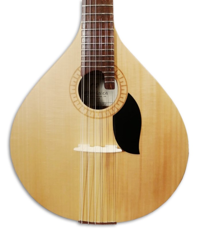 Foto de la tapa de la Guitarra Portuguesa Artimúsica GPBASECCAD Modelo Coimbra