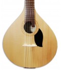 Photo of the Portuguese Guitar Artimúsica GPBASECCAD Coimbra Model top